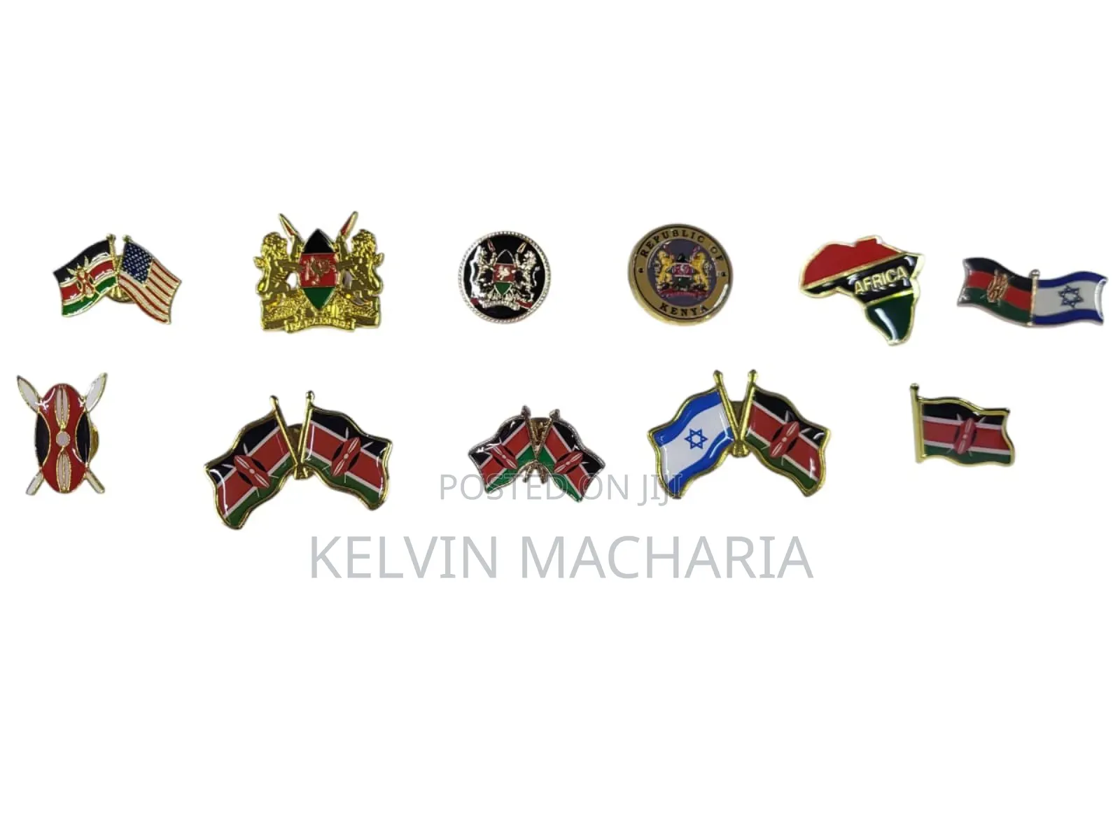 Coat of Arms and Lapel Pins