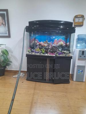 Aquarium Services - main view