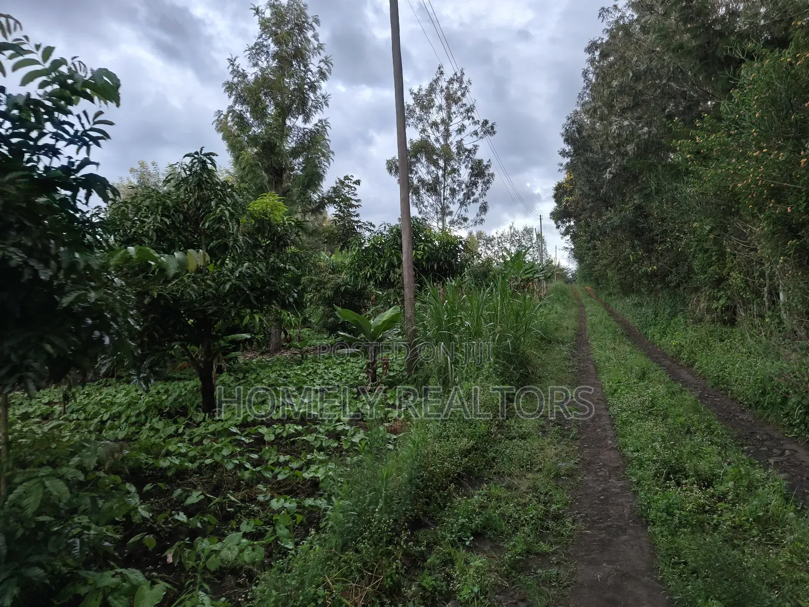 2 Acres of Land Touching Tarmac on Sale in Ngong, Matasia