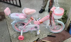 Little Princess Bike Size 16