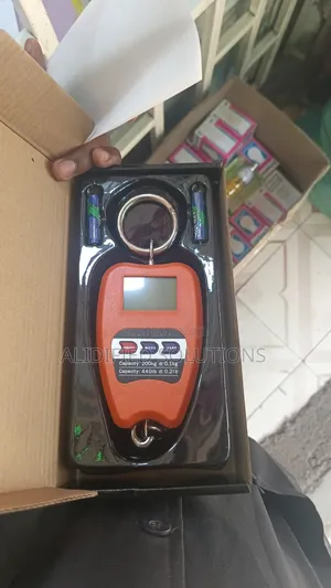 Crane Scale 200kg