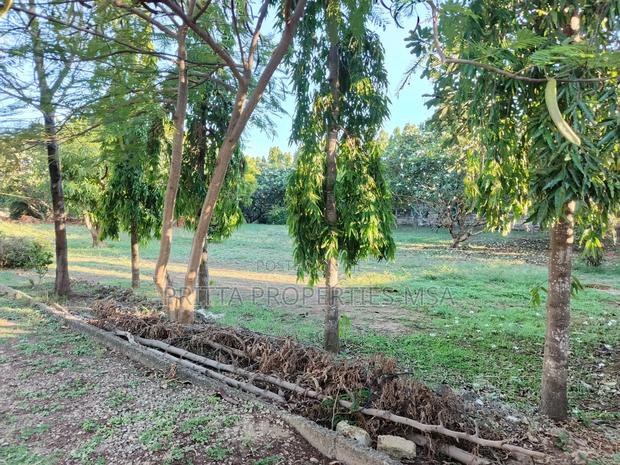 Nyali Links Rd to Let 5br Own Compound 1acre - thumbnail 3
