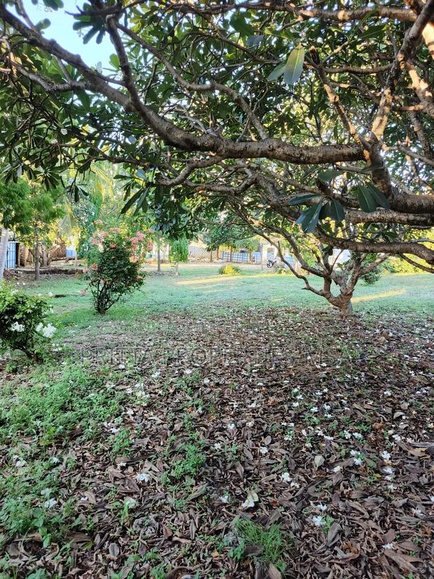 Nyali Links Rd to Let 5br Own Compound 1acre - thumbnail 12
