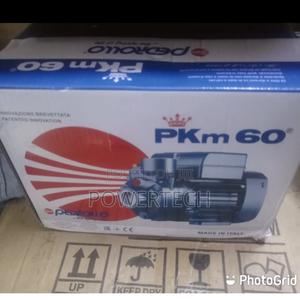 Pedrollo Water Pump - thumbnail 2