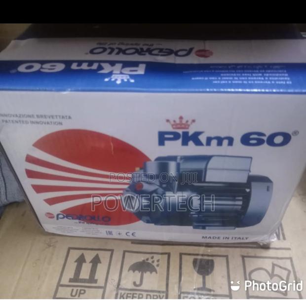 Pedrollo Water Pump - main view