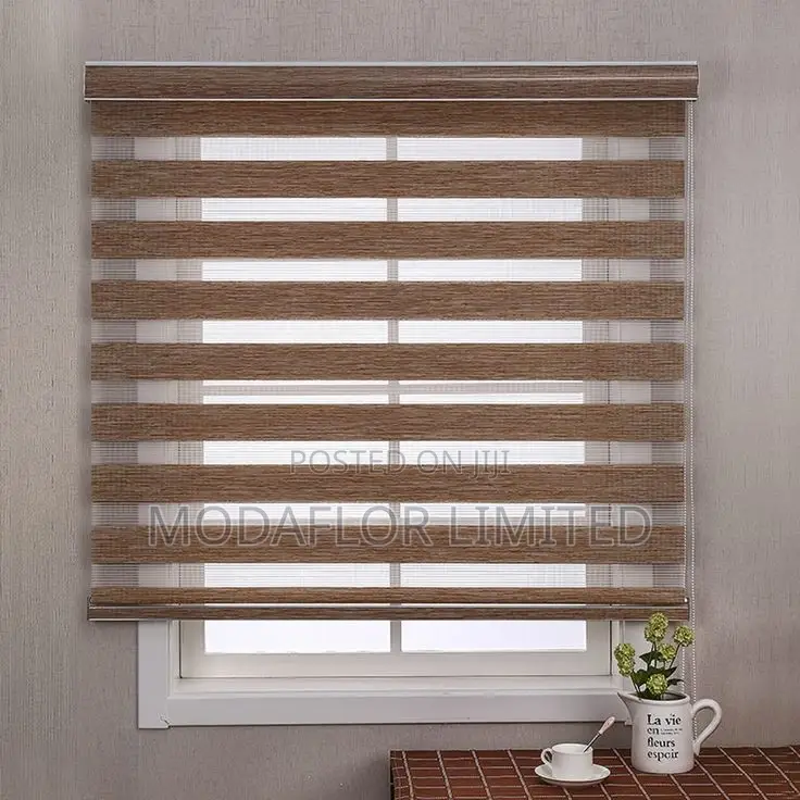 "Layered for Luxury!" Horizontal Zebra Blinds