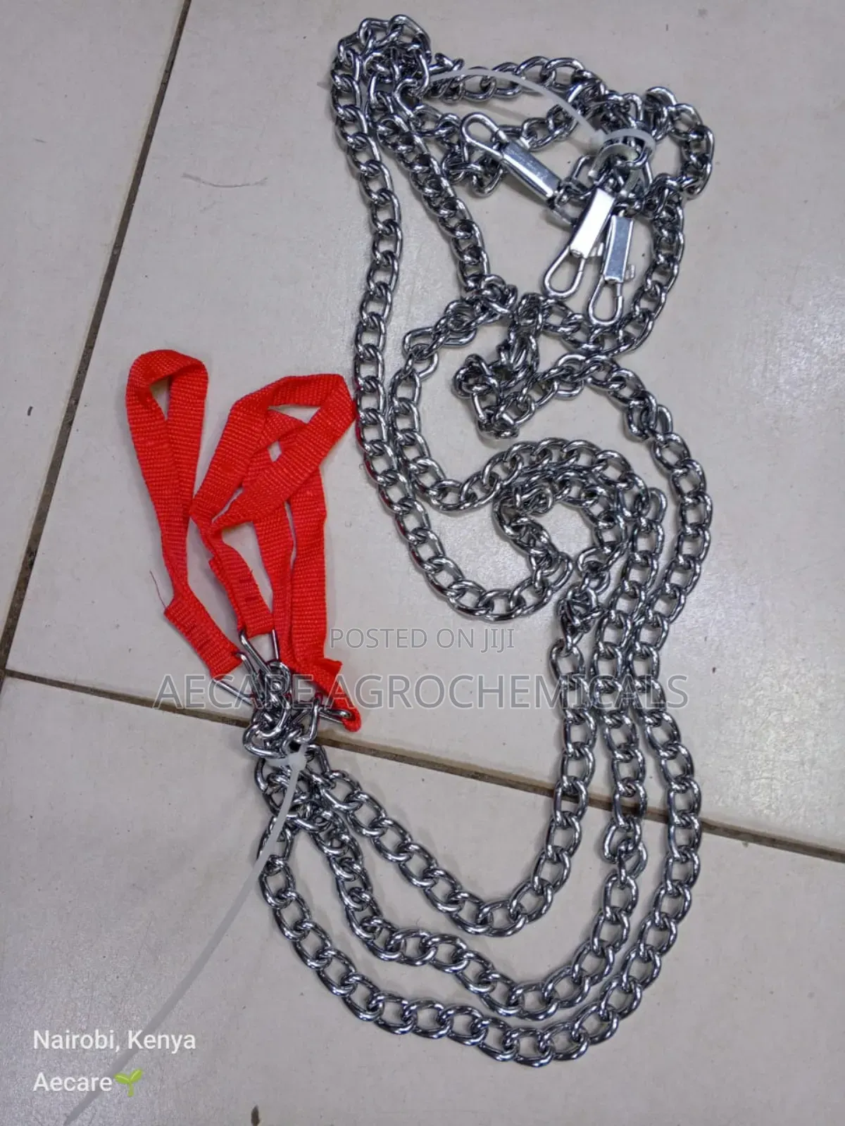 Dog Chain: Small, Medium, Large