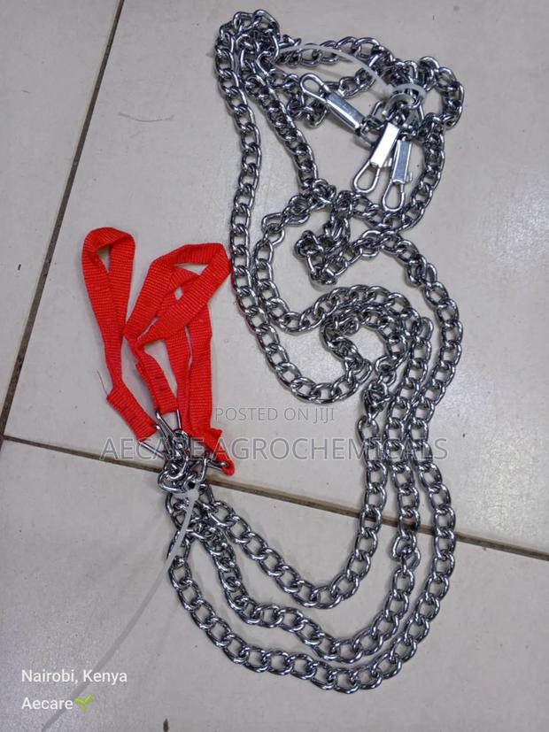 Dog Chain: Small, Medium, Large - thumbnail 3