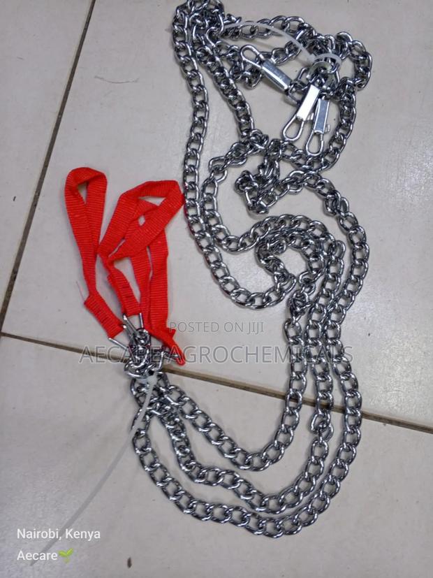 Dog Chain: Small, Medium, Large - thumbnail 4