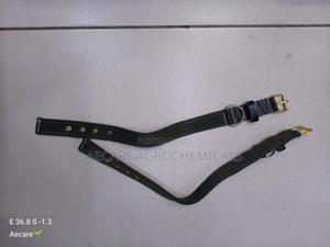 Dog Collars Canvas : Small, Medium, Long - thumbnail 2