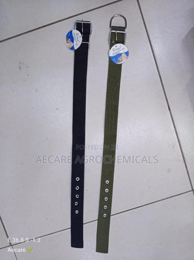 Dog Collars Canvas : Small, Medium, Long - thumbnail 4