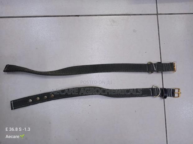 Dog Collars Canvas : Small, Medium, Long - thumbnail 5