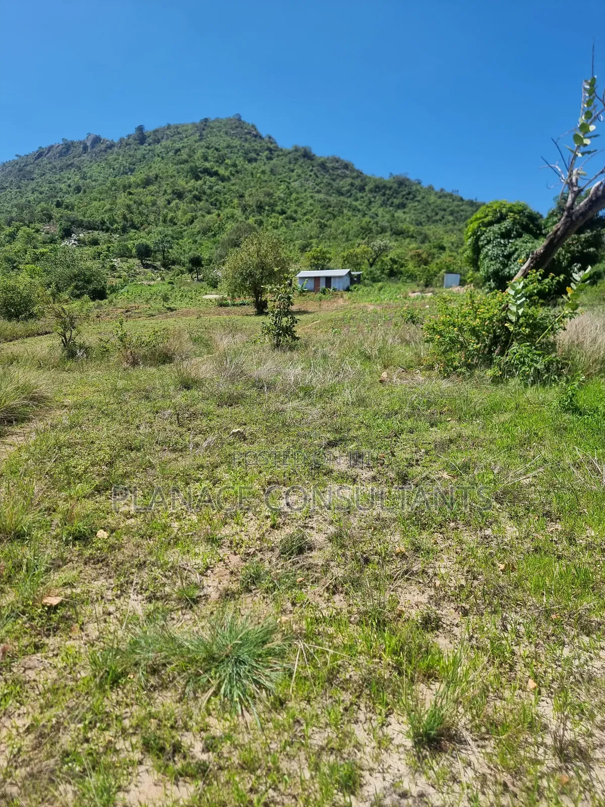 23 Acres Agricultural Land