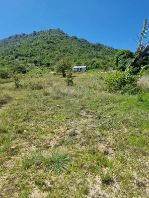 23 Acres Agricultural Land