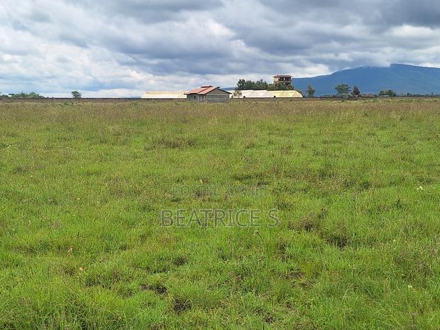 Residential Plot for Sale – Malaa (1/4 Acre) - thumbnail 2