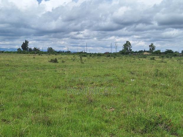 Residential Plot for Sale – Malaa (1/4 Acre) - thumbnail 3