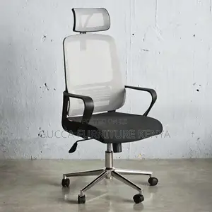 Office Chair:Profesional Mesh Chair With Adjustable Headrest