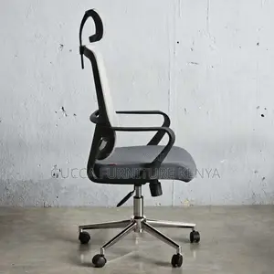 Office Chair:Profesional Mesh Chair With Adjustable Headrest
