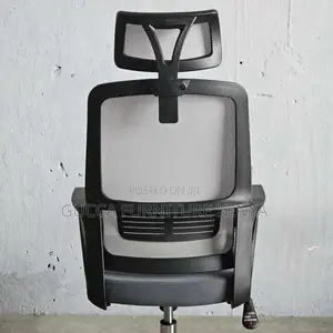 Office Chair:Profesional Mesh Chair With Adjustable Headrest