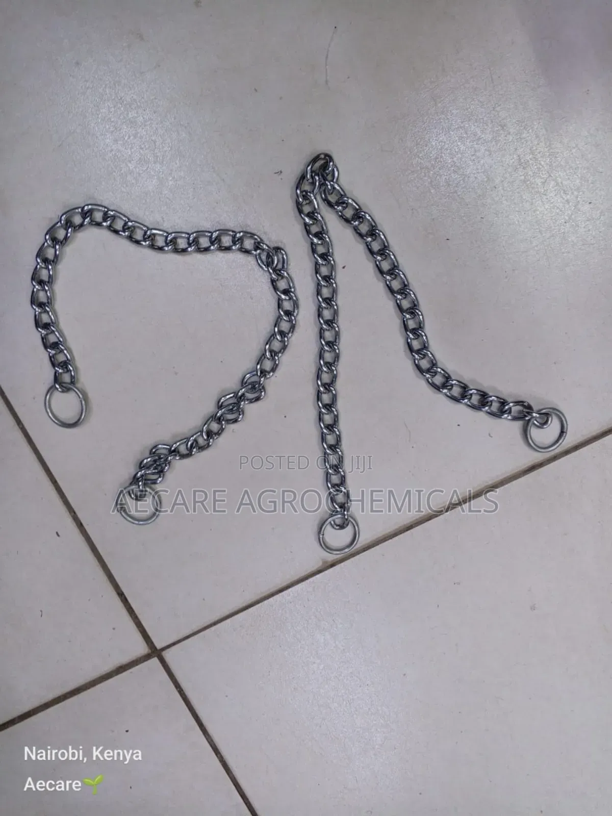 Dog Choke Chain: Small, Medium, Large (Silver)