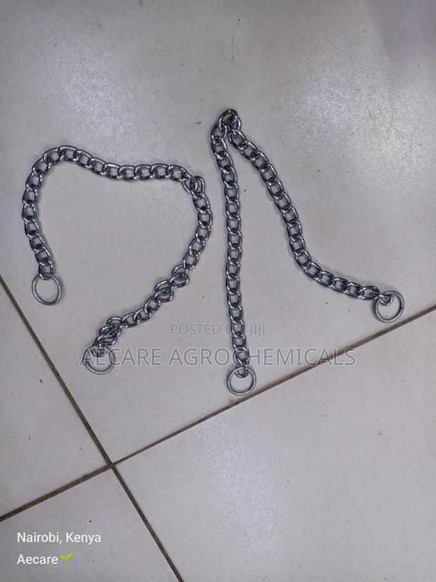Dog Choke Chain: Small, Medium, Large (Silver) - main view