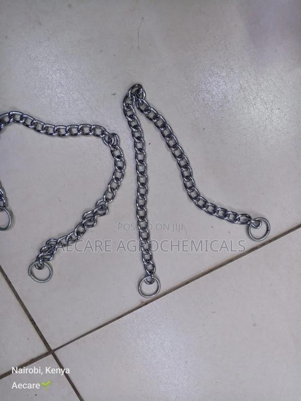 Dog Choke Chain: Small, Medium, Large (Silver) - thumbnail 2