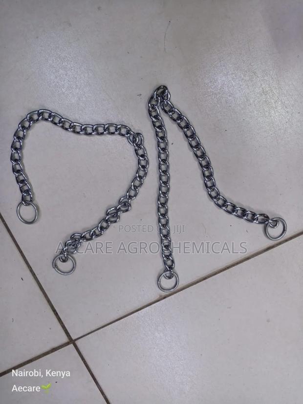Dog Choke Chain: Small, Medium, Large (Silver) - thumbnail 3
