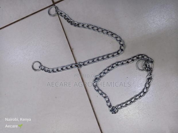 Dog Choke Chain: Small, Medium, Large (Silver) - thumbnail 4