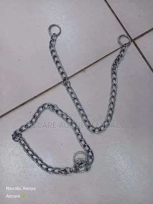 Dog Choke Chain: Small, Medium, Large (Silver)