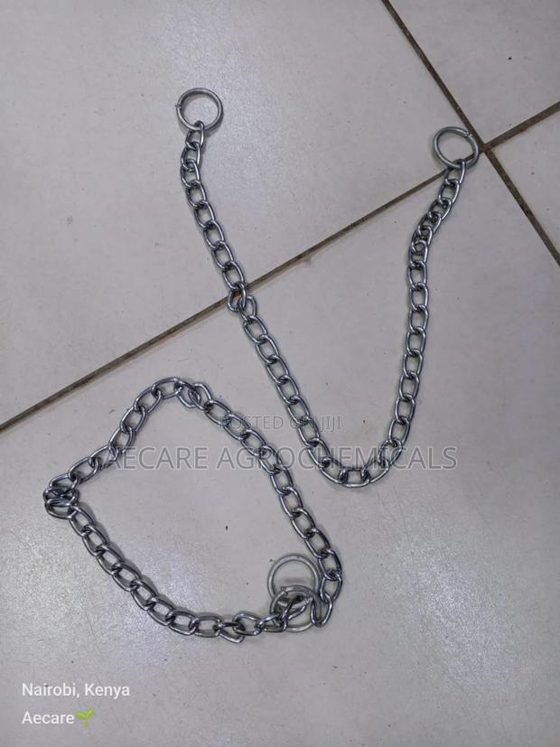 Dog Choke Chain: Small, Medium, Large (Silver) - thumbnail 5