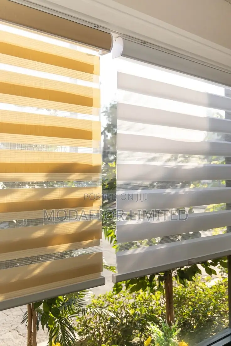 "Line Up the Light!"With Horizontal Zebra Blinds