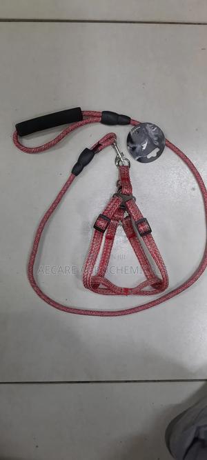 Dog Leash+ Harness/ Dog Lead + Harness  Small Size - thumbnail 2