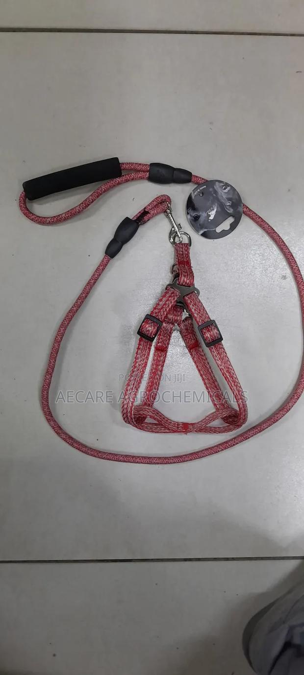 Dog Leash+ Harness/ Dog Lead + Harness  Small Size - main view