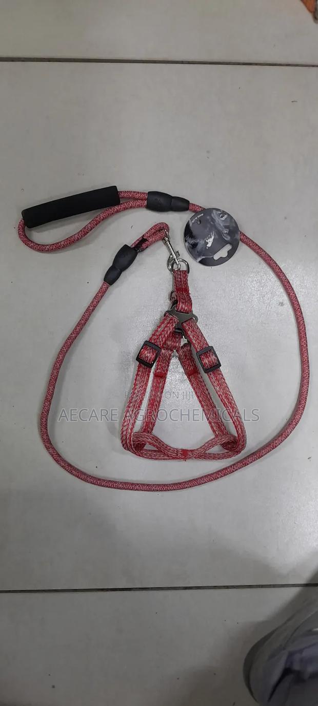 Dog Leash+ Harness/ Dog Lead + Harness  Small Size - thumbnail 3