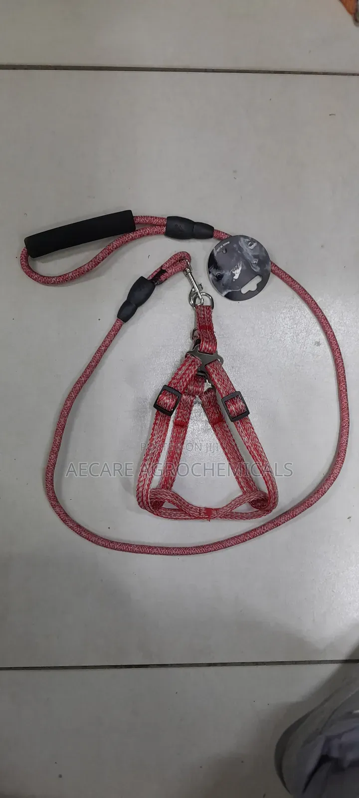 Dog Leash+ Harness/ Dog Lead + Harness  Small Size