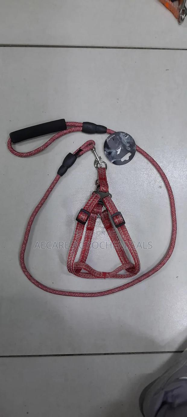 Dog Leash+ Harness/ Dog Lead + Harness  Small Size - thumbnail 4