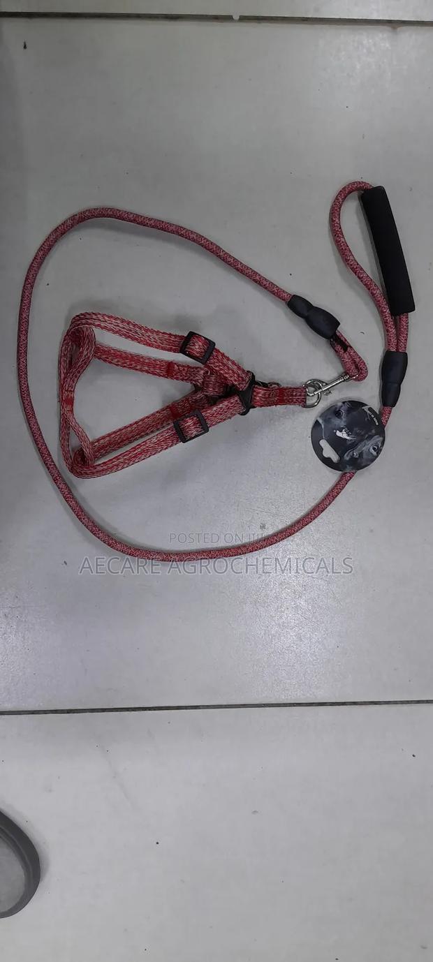 Dog Leash+ Harness/ Dog Lead + Harness  Small Size - thumbnail 5