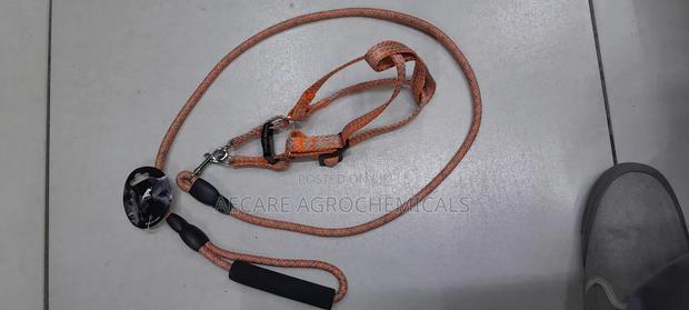 Dog Leash+ Harness/ Dog Lead + Harness  Small Size - thumbnail 6