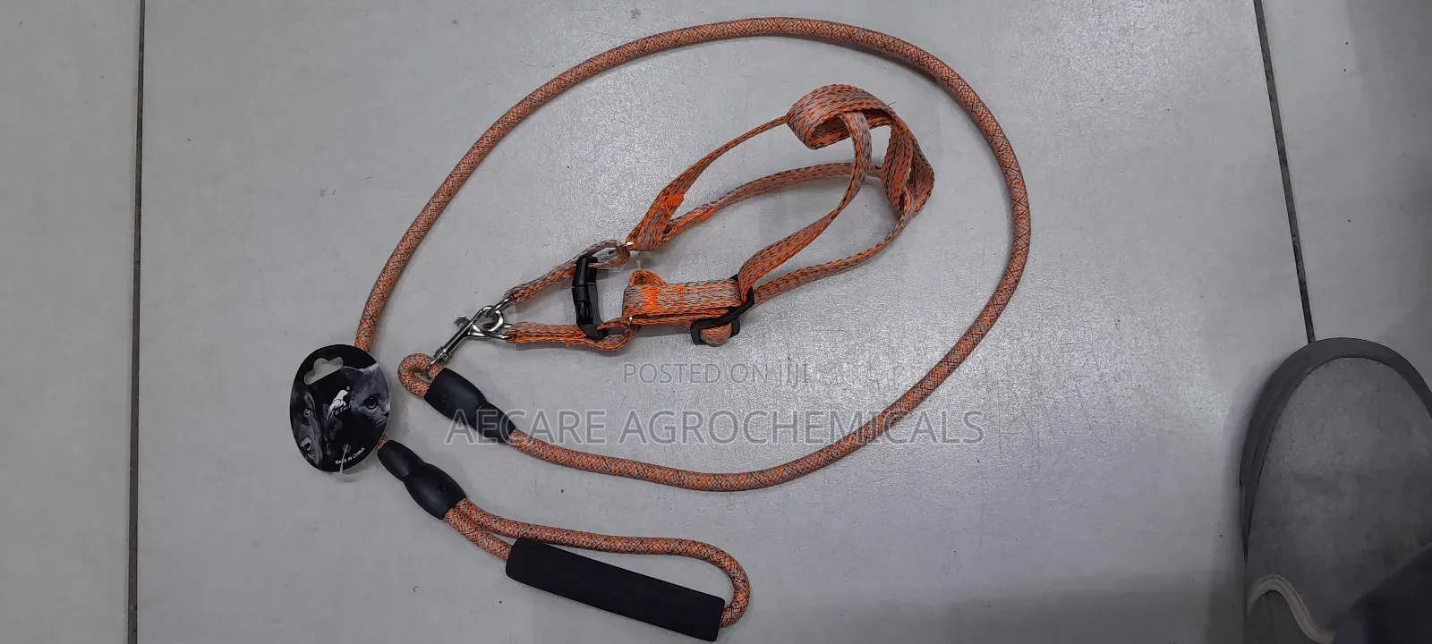 Dog Leash+ Harness/ Dog Lead + Harness  Small Size
