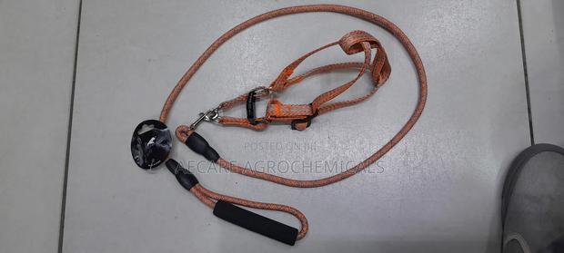 Dog Leash+ Harness/ Dog Lead + Harness  Small Size - thumbnail 8
