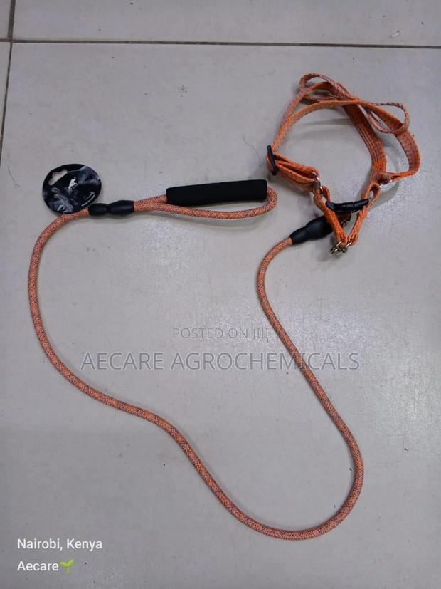 Dog Leash+ Harness/ Dog Lead + Harness  Small Size - thumbnail 9