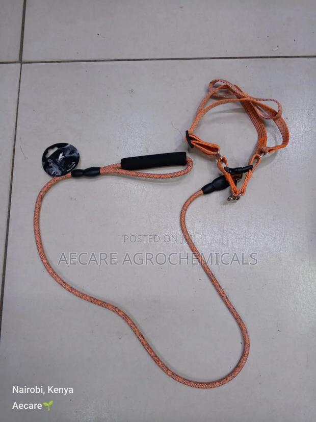 Dog Leash+ Harness/ Dog Lead + Harness  Small Size - thumbnail 10