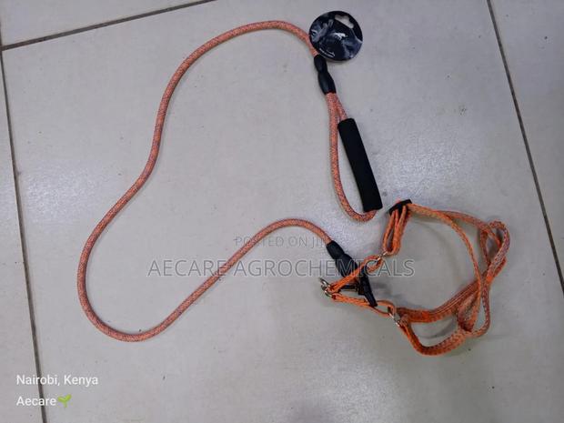 Dog Leash+ Harness/ Dog Lead + Harness  Small Size - thumbnail 11