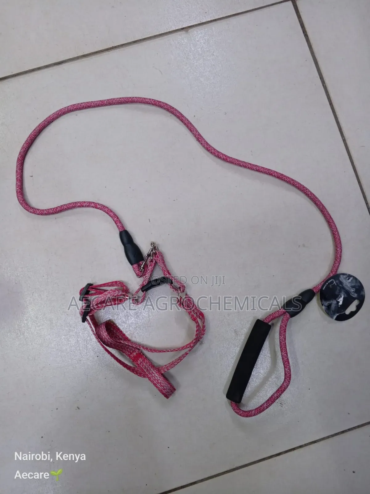 Dog Leash+ Harness/ Dog Lead + Harness  Small Size