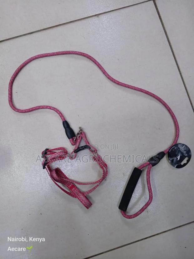 Dog Leash+ Harness/ Dog Lead + Harness  Small Size - thumbnail 12