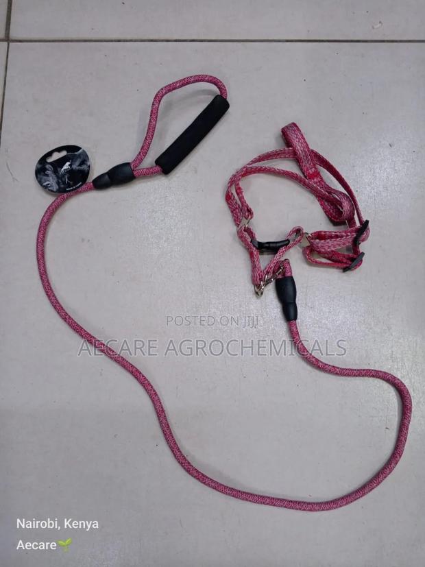 Dog Leash+ Harness/ Dog Lead + Harness  Small Size - thumbnail 13