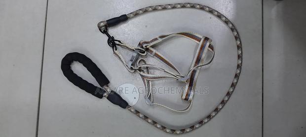 Dog Leash +Dog Harness Medium Size ( Compacted Leash ) - thumbnail 6