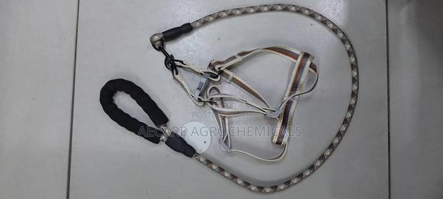 Dog Leash +Dog Harness Medium Size ( Compacted Leash ) - thumbnail 7