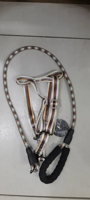 Dog Leash +Dog Harness Medium Size ( Compacted Leash )