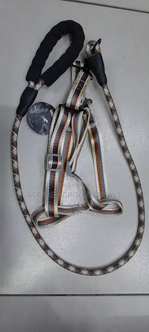 Dog Leash +Dog Harness Medium Size ( Compacted Leash )